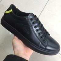 Giày lacoste đen viền xanh