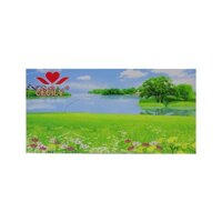 Giấy Lụa Hộp Cecily (100 Tờ)