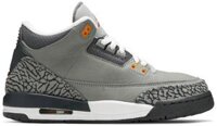 Giày Nike Air Jordan 3 Retro GS ‘Cool Grey’ 2021 398614-012