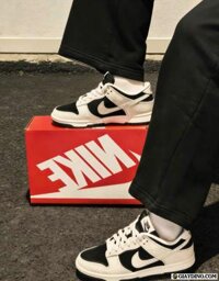 Giày Nike Dunk Embossed Baroque Black White IF3944-001