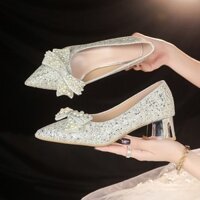 Giày nữ cỡ lớn Giày cao gót dự tiệc thời trang gót dày mũi nhọn cỡ 34-42