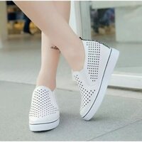 Giày nữ độn đế 6cm H31 . . 😷