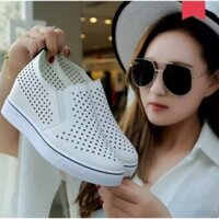 Giày nữ độn đế 6cm H31a . , 2020 💯 : ❕ 2020 👟