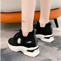 GIÀY NỮ ĐỘN ĐẾ 7 CM HOA CÚC TĂNG CHIỀU CAO VẢI MÊM ĐẾ NHẸ ÊM THOÁNG KHÍ TD 63