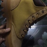 Giày Palladium sport cuff wpn.