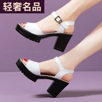 giày sandal cao gót đế vuông 6 phân cao câp mã M577