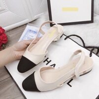 GIÀY SLINGBACK PHỐI MÀU