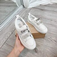 Giày  sneaker nữ  . Giày nữ