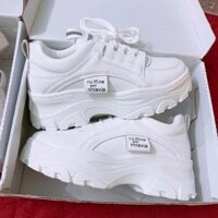 Giày sneaker nữ