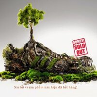 Giày Tennis Prince T22 Màu Trắng/ Bạc | T22 Bạc      | Prince