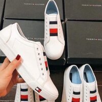 Giày thần thánh Tommy