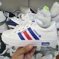 Giầy thể thao Adidas (nữ)