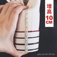 Giày thể thao cao cổ mới đa năng Centimeter 10, phong cách Hàn Quốc, buộc dây, giày vải tăng chiều cao đế dày, giày nữ 2024