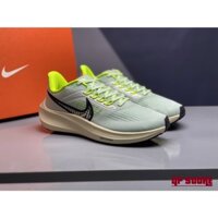Giày Thể Thao Nike Pegasus 39 (Fullbox)