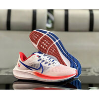 Giày Thể Thao Nike Pegasus 39