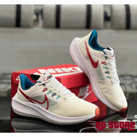 Giày Thể Thao Nike Pegasus 39 (Fullbox)