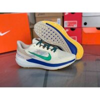 Giày thể thao Nike Winflo 9