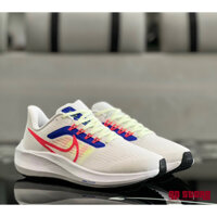 Giày Thể Thao Nike Zoom Pegasus 39 (Fullbox)