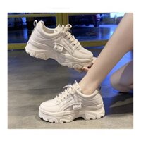 Giày Thể Thao Nữ 💖FREESHIP💖 Giày Sneaker Nữ đế cao thời trang