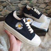 Giày thể thao Rick owen hoa cúc đen thấp [ĐẸP] . new . .