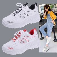 Giầy Thể Thao Sneaker nữ tăng chiều cao