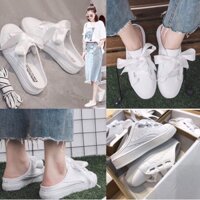 Giày thể thao sục