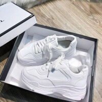 Giày trắng tuyết