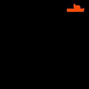 Giày trượt patin Flying eagle S6