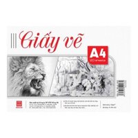 Giấy vẽ A4 4943