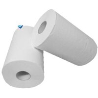 Giấy vệ sinh cuộn lớn (500g)