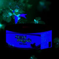 Giấy vệ sinh cuộn lớn  Xuân Phong 700g