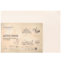 Giấy Vẽ Takeyo 8735 A3 - 20 Tờ DL160G - Giao Mẫu Ngẫu Nhiên