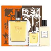 Gift Set Hermes Terre D'Hermes Eau Intense Vetiver EDP 100ml