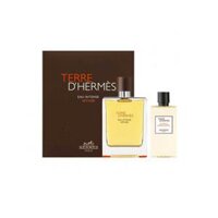 Gift Set Hermes Terre D'hermes Eau Intense Vetiver (EDP 100ml + 80ml Showergel)