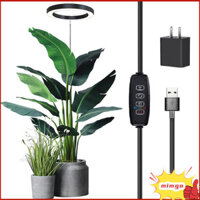 Gigicloud 72 Đèn LED Full Spectrum Plant Light 5 Độ sáng có thể điều chỉnh 3 / 9 / 12H Hẹn giờ bật / tắt Đèn tăng trưởng thực vật để thúc đẩy tăng trưởng thực vật