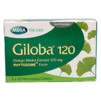 Giloba 120, hỗ trợ tăng cường tuần hoàn não, mất ngủ, tiền đình