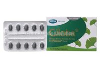 Giloba – Thuốc tăng cường Tuần Hoàn Não 40mg 30 viên