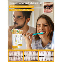 Ginger Herbal Toothpaste Oral Cleaning Herbal Natural Toothpaste