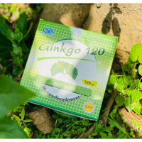 Ginkgo 120 - Hoạt huyết lưu thông máu