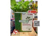 GINKGO 360 NATTO Q10 | HỖ TRỢ TĂNG CƯỜNG TUẦN HOÀN MÁU NÃO, GIẢM NGUY CƠ HÌNH THÀNH CỤC MÁU ĐÔNG