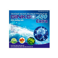 Ginkgo 480 Extra hộp 100 viên