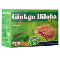 Ginkgo Biloba 120 Extra, hỗ trợ tăng cường lưu thông máu
