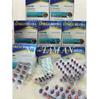 GINKGO BILOBA 120 EXTRA - tinh dầu tỏi đen- giúp bổ sung dưỡng chất cho não - hộp 100 viên