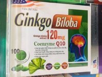 Ginkgo Biloba 1200mg with coenzyme Q10