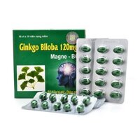 Ginkgo Biloba 120mg - cải thiện trí nhớ, giảm mất ngủ, hoạt huyết dưỡng não, có thêm Magie B6 - Hộp 100 viên.