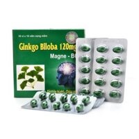 Ginkgo Biloba 120mg - cải thiện trí nhớ, giảm mất ngủ, hoạt huyết dưỡng não, có thêm Magie B6 - Hộp 100 viên