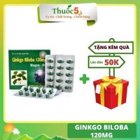 Ginkgo Biloba 120mg Magne B6 hoạt huyết bổ não 100 viên