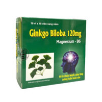 Ginkgo Biloba 120mg