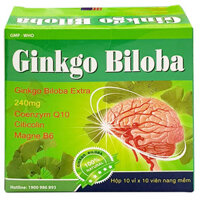 Ginkgo Biloba 240mg, hỗ trợ tăng cường tuần hoàn não