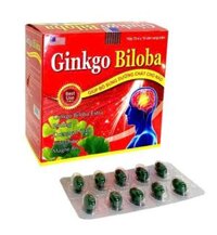 Ginkgo Biloba 240mg USA Pharma (H/100v)